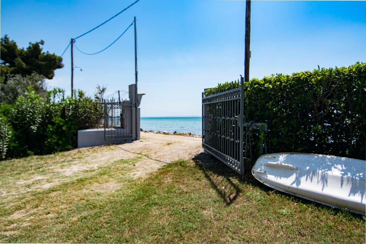 Clio Beach House By Travel Pro Services - Metochi Halkidiki โซโซโปลี ภายนอก รูปภาพ