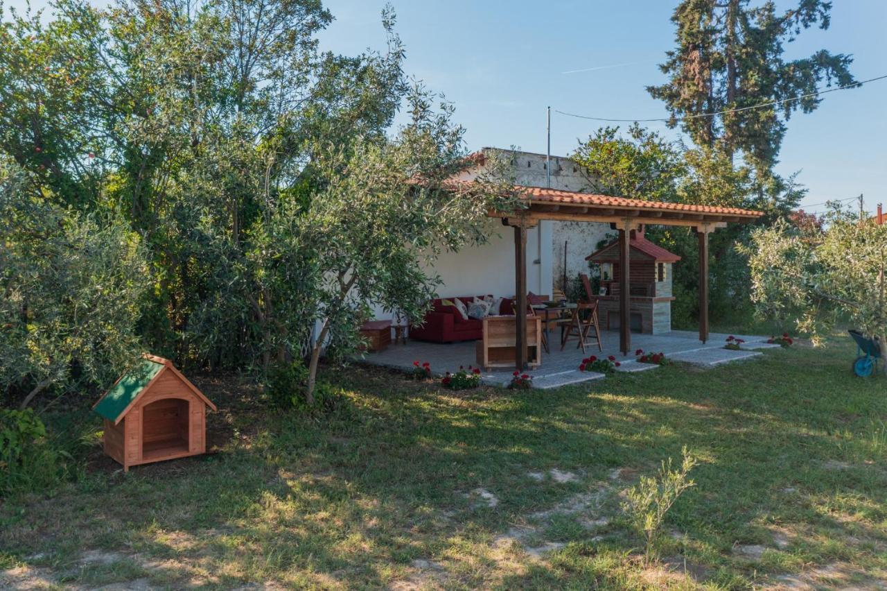 Clio Beach House By Travel Pro Services - Metochi Halkidiki โซโซโปลี ภายนอก รูปภาพ